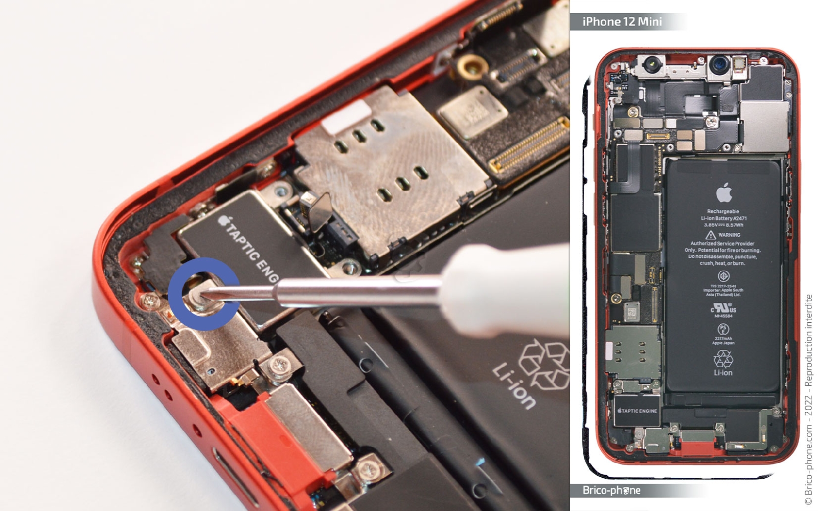 Comment changer le châssis complet sur iPhone 12 Mini photo 2